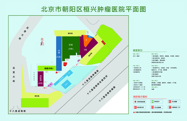 操逼骚逼骚逼骚逼骚逼北京市朝阳区桓兴肿瘤医院平面图